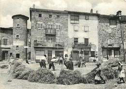 IL ETAIT UNE FOIS L'AUVERGNE ET LES CEVENNES BATTAGE AU FLEAU - Other & Unclassified