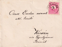 A8099- LETTER SENT TO KECSAN BANAT, USED STAMP ON COVER 1893 MAGYAR POSTA STAMP VINTAGE - Lettres & Documents