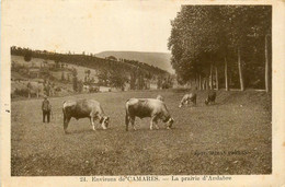 Gissac * La Prairie D' Andabre * Environs De Camarès * Troupeau Paturage - Autres & Non Classés