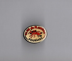 Pin's Plongée / Club De Plongée De Fourmies (époxy) Longueur: 2,2 Cm - Plongée