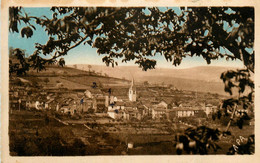 Pousthomy * Vue Générale Du Village - Sonstige & Ohne Zuordnung