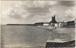 50  Saint  Vaast La Hougue    -   La Plage A Maree Haute, Au Dernier Plan Le Fort De La Hougue - Saint Vaast La Hougue