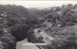 CILGERRON - TEIVY VAKLLEY FROM PENRHIW. CARMARTHEN SHOW SLOGAN - Cardiganshire