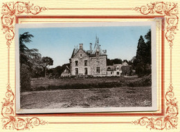 ENV DE MALESTROIT ET QUESTEMBERT *** LA GACILLY  *** CHATEAU DE LA VILLE JANVIER EN COURNON *** - La Gacilly