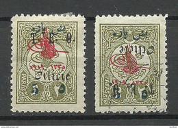 CILICIA Cilicien TÜRKEI Turkey 1919 Michel 56 * Normal + INVERTED OPT ERROR Variety Abart */o - 1920-21 Anatolia