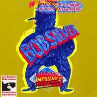 BobSilver L'Homme Impossible Danny Steve  Album Des Requins Marteaux Collection Carrément - Autres & Non Classés