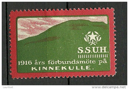SCHWEDEN Sweden 1916 Reklamemarke Advertising Stamp * - Ongebruikt