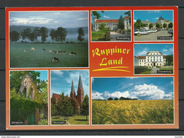 Deutschland 1999 Ansichtskarte Ruppiner Land Kr. NEURUPPIN (gesendet, Mit Briefmarke) - Neuruppin