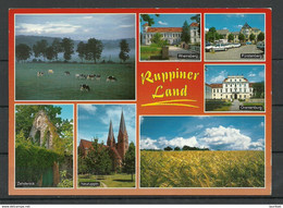 Deutschland 2000 Ansichtskarte Ruppiner Land Kr. NEURUPPIN (gesendet, Mit Briefmarke) - Neuruppin