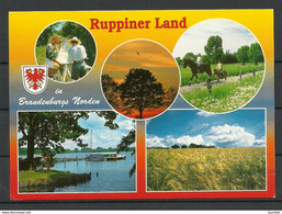 Deutschland 1999 Ansichtskarte RUPPINER LAND (Kr. Neuruppin ) Mit Nebenstempel - Neuruppin