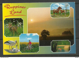 Deutschland 2000 RUPPINER LAND (Kr. Neuruppin ) Mit Briefmarke - Neuruppin