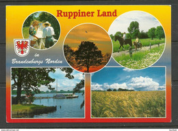 Deutschland 2000 RUPPINER LAND (Kr. Neuruppin ) Mit Nebenstempel + Briefmarke - Neuruppin