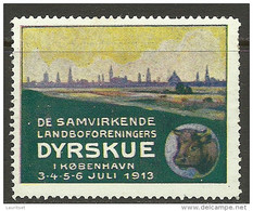 DENMARK Dänemark Danmark 1913 Advertising Reklamemarke Exhibition Ausstellung * - Nuovi