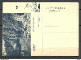 Estland Estonia Ca 1930  AEGVIIDU Illustrated Esperanto Post Card, Unused - Estonie