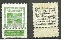 Austria Österreich Or Germany? ESPERANTO Vignette Poster Stamp * - Esperanto