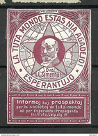 Germany Deutschland ESPERANTO Vignette Poster Stamp L. Zamenhof Leipzig - Esperanto