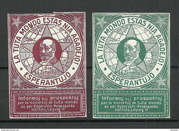 Deutschland Leipzig ESPERANTO Vignetten Poster Stamps Advertising Reklamemarken Zamenhof MNH/MH - Esperanto