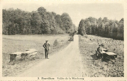 BELGIQUE FAUVILLERS VALLEE DE LA MISEBOURG - Fauvillers