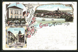 Lithographie Mölln I. Lbg., Hotel Stadt Lüneburg, Strassenpartie Mit Rathausblick - Mölln