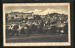 AK Colditz I. Sa., Panoramablick Auf Den Ort - Colditz