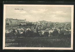 AK Colditz I. Sa., Panoramablick Von Der Bergwiese - Colditz