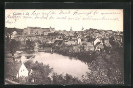 AK Colditz I. Sa., Totale Mit Teich - Colditz