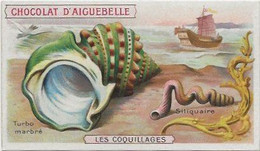 Chromo Aiguebelle Les Coquillages 10,5 X 6 - Aiguebelle