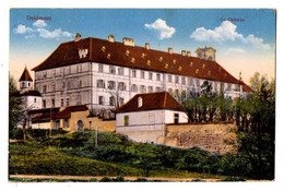AK Schweiz: Delemont, Le Chateau, Soldatenpost Gel. 11.4.1910-15 - JU Jura