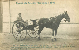 CPA - 31 HAUTE GARONNE TOULOUSE HIPPISME COURSE DU TROTTING TOULOUSAIN 1903 N°14 CRICK ATTELAGE CHEVAL EAUZE GERS CARTHE - Toulouse
