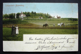 LANGENTHAL Hinterberg Landwirtschaft Pferde Gel. 1904 V. Schoren N. Waltringen Emmental - Langenthal