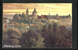 AK Altenburg, Panoramablick Auf Das Schloss - Altenburg