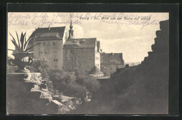 AK Colditz I. Sa., Blick Von Der Ruine Auf Das Schloss - Colditz