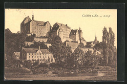 AK Colditz I. Sa., Teilansicht Mit Schloss - Colditz