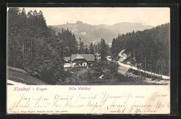 AK Kipsdorf I. Erzgeb., Blick Auf Die Villa Waldhof - Kipsdorf