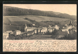 AK Schmiedeberg I. Sächs. Erzgeb., Blick Auf Den Ort - Schmiedeberg (Erzgeb.)