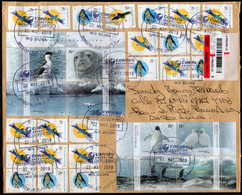 Argentina -  2019 - Lettre - Oiseaux D'Argentine - Cóndor - Pingouin - Tucan - Faune - Covers & Documents