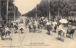 85-LES-SABLES-D'OLONNE- PROMENADE A ANES DANS LE FORÊT DE LA RUDELIERE - Sables D'Olonne