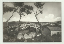 S.CROCE DEL SANNIO - PANORAMA  - VIAGGIATA   FG - Benevento