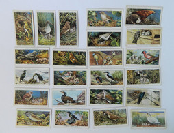 John Player Cigarette Cards - BIRDS & THEIR YOUNG - 23 Different Cards. - Player's