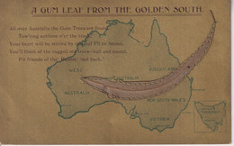 A Gum Leaf From The Golden South By Harding&Billgs's Post Card An Australian Gum Leaf   AUSTRALIA - Altri
