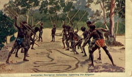 AUSTRALIAN ABORGINAL CEREMONY SPEARING THE ALLIGATOR   AUSTRALIA - Aborigines