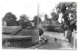 CP DEPT  49 MONTFAUCON SUR MOINE  VUE SUR L'EGLISE - Montfaucon