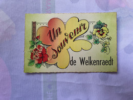 A 4724 - Un Souvenir De Welkenraedt - Welkenraedt