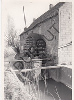 WODECQ - Molen / Moulin - Originele Foto Jaren '70 - Moulin Le Moufflu  (Q222) - Ellezelles