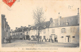 CPA 23 CHENERAILLES PLACE DE L'ARBRE ET DE LA LIBERTE - Other & Unclassified