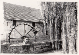 KANNE - Molen / Moulin - Originele Foto Jaren '70 - Smokkelmolen (Q217) - Riemst