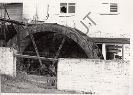 FENEUR - Molen / Moulin - Originele Foto Jaren '70 -  (Q211) - Dalhem