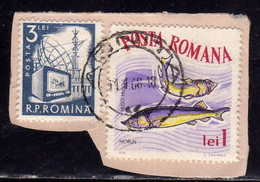 ROMANIA  ROMANA 1964 FISHES PESCI BELUGA LEU 1L 1960 RADIO AND TELEVISION 3L USATO USED OBLITERE - Oblitérés