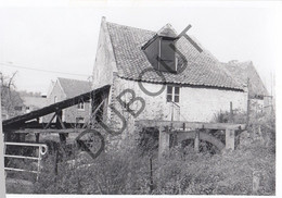 PETIT-HALLET - Molen / Moulin - Originele Foto Jaren '70 - Moulin Rassart (Q360) - Hannut