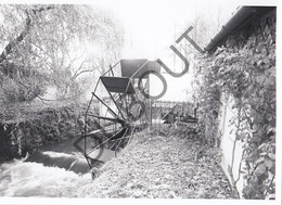 MOXHE - Molen / Moulin - Originele Foto Jaren '70 -  (Q342) - Hannut